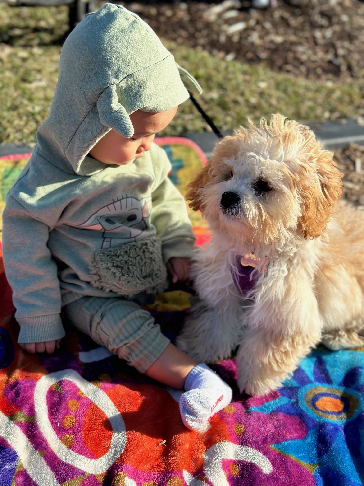 HPCS pet care gallery photo 13