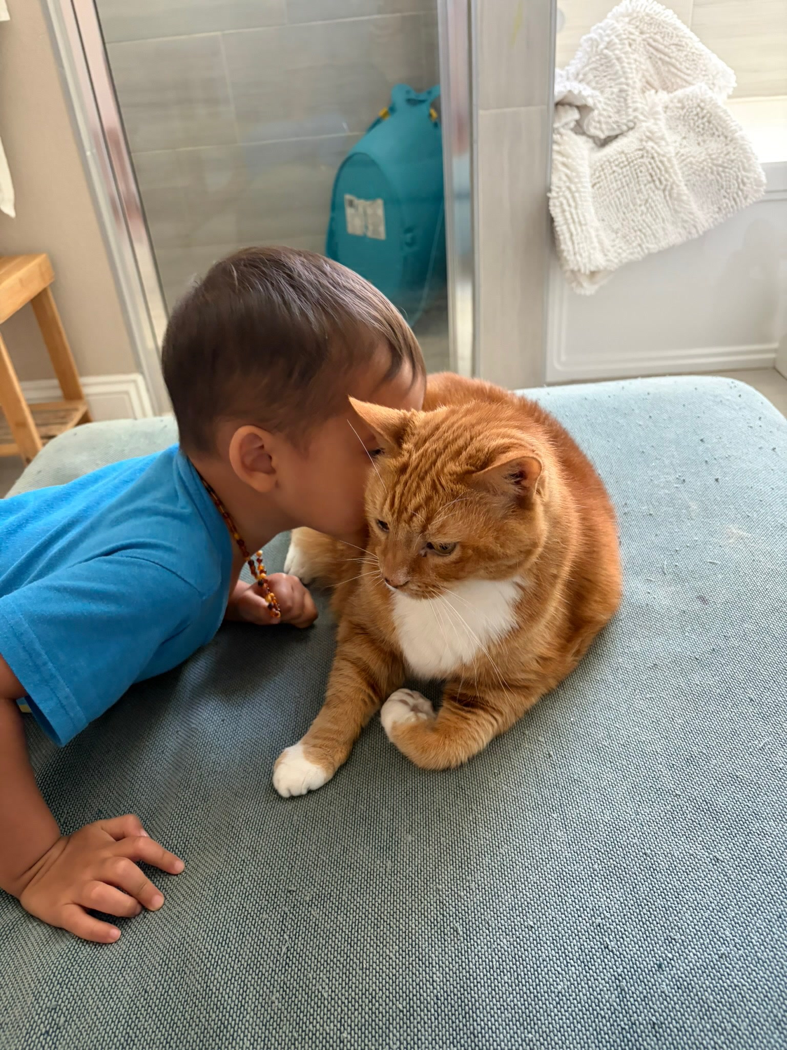 HPCS pet care gallery photo 27